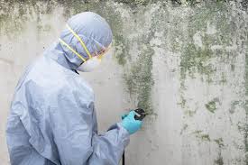 Why You Should Choose Our Mold Remediation Services in Chambersburg, PA